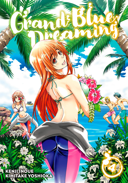 Grand Blue Dreaming Vol. 3 English Manga Paperback book cover