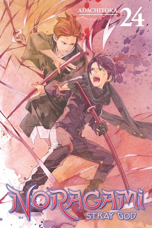 Noragami: Stray God Vol. 23 English Manga Paperback book cover