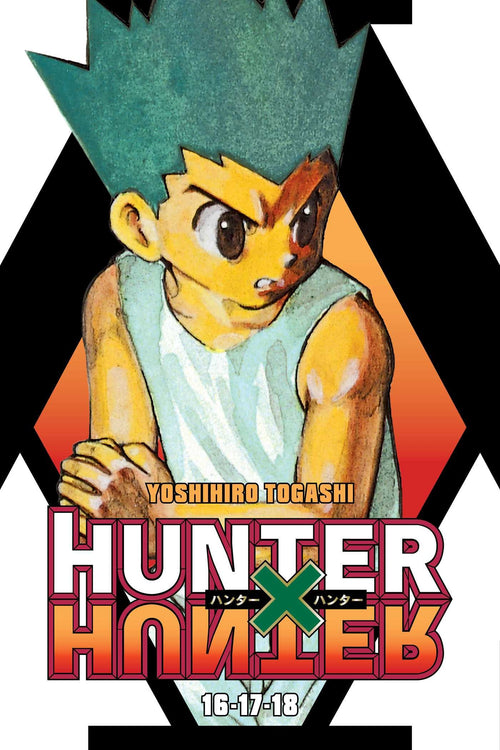Hunter x Hunter 3-in-1 Edition Vol. 6 cover