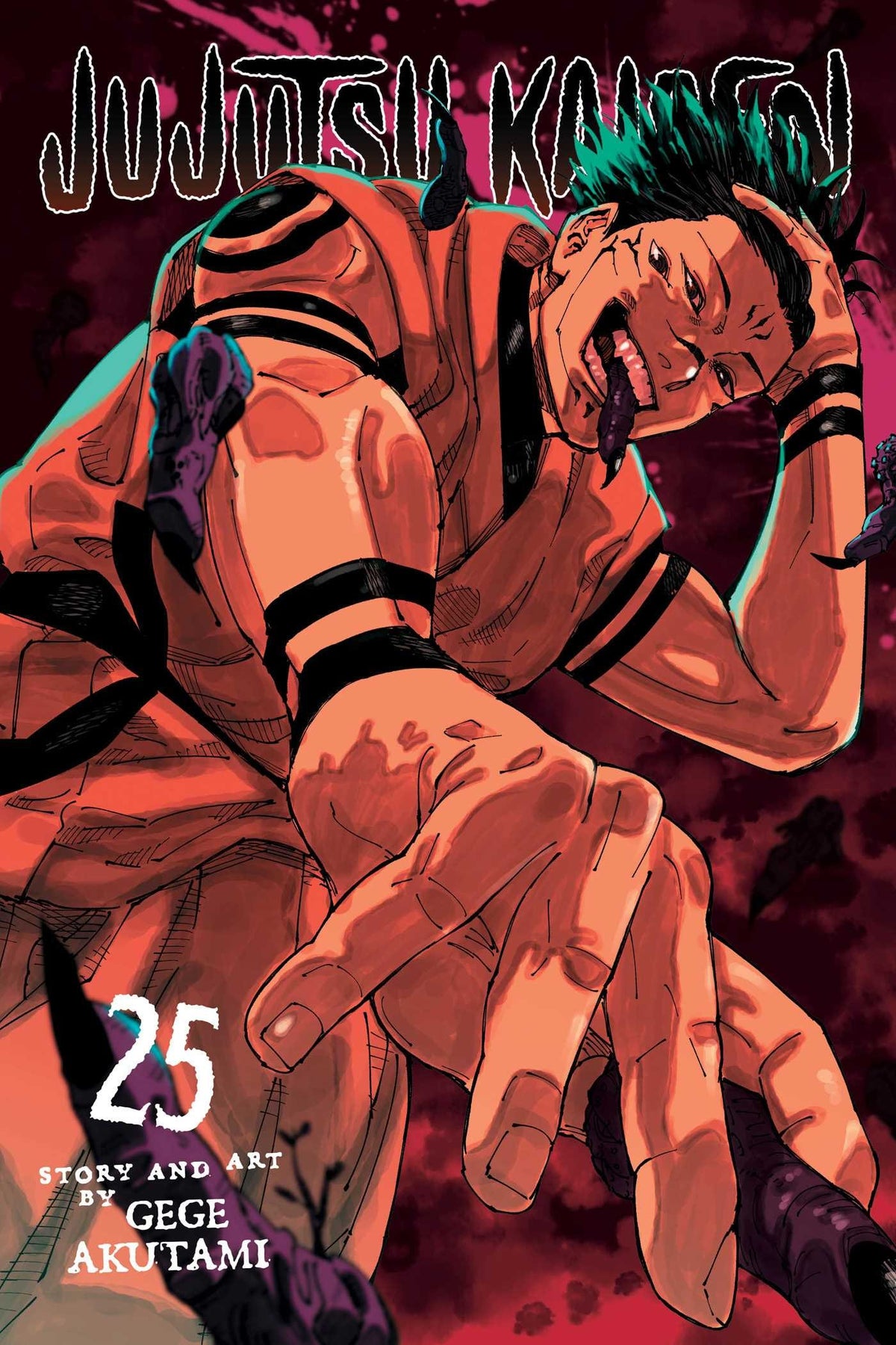 Jujutsu Kaisen, Vol. 25 : Volume 25-9781974751884