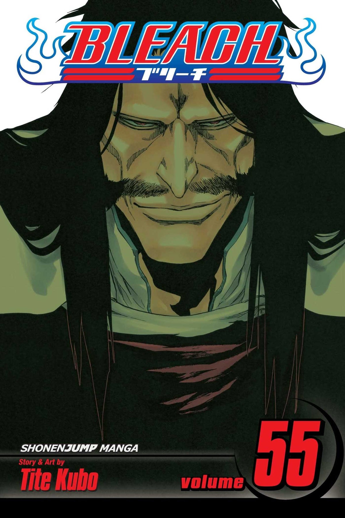 Bleach, Vol. 55 : The Blood Warfare Volume 55-9781421552361