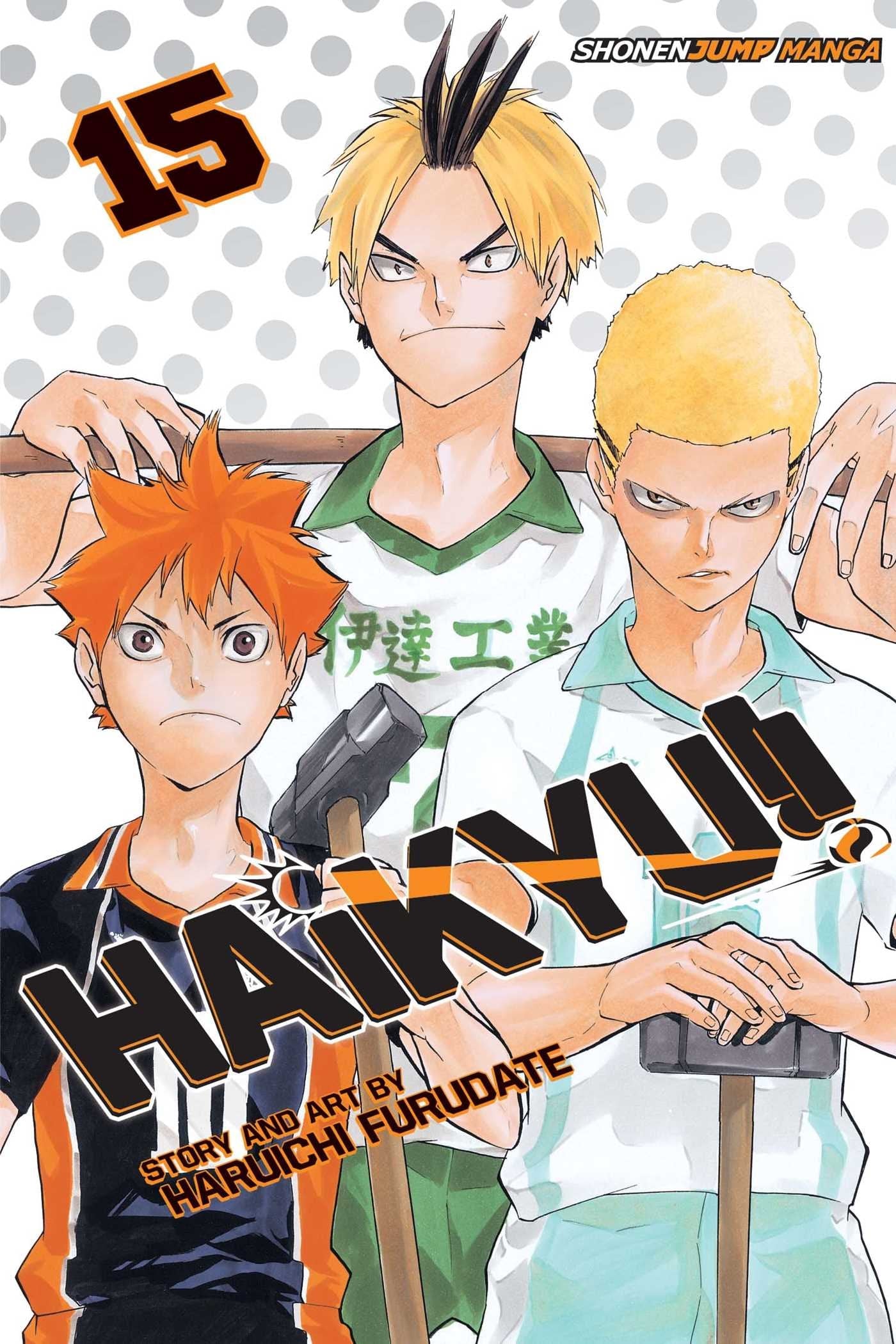 Haikyu!!, Vol. 15 : Destroyer Volume 15-9781421591056
