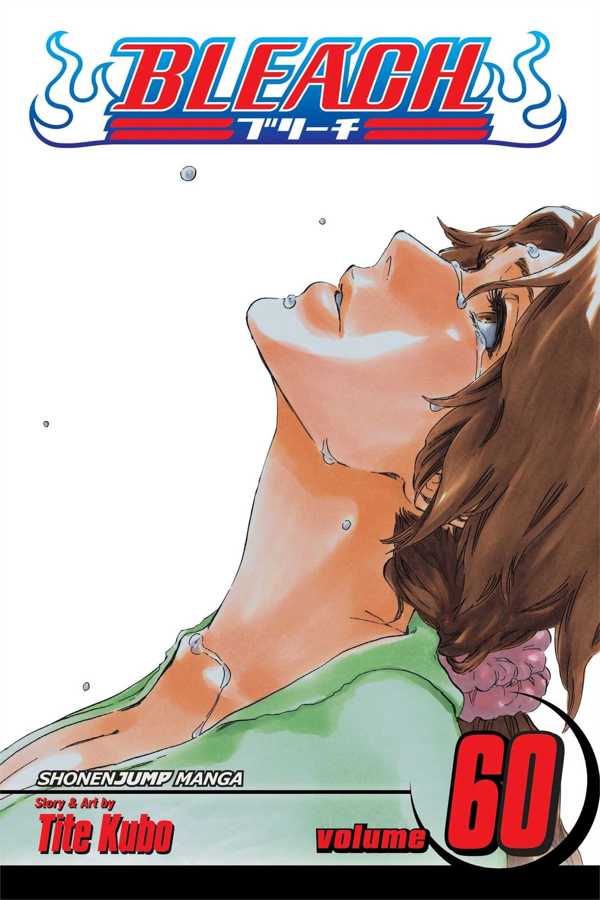 Bleach, Vol. 60 : Everything But the Rain Volume 60-9781421564586