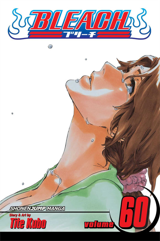 Bleach, Vol. 60 : Everything But the Rain Volume 60-9781421564586