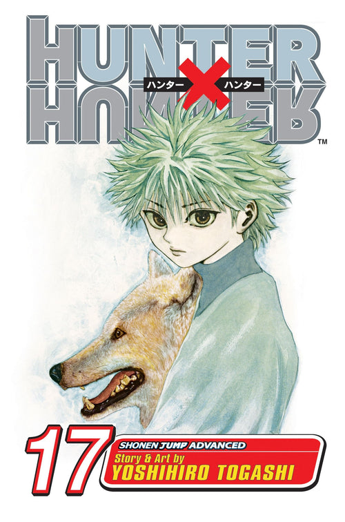 Hunter x Hunter, Vol. 17 : A Fierce Three-Way Struggle Volume 17-9781421510736