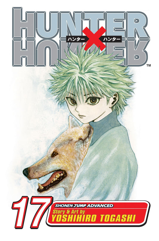 Hunter x Hunter, Vol. 17 : A Fierce Three-Way Struggle Volume 17-9781421510736
