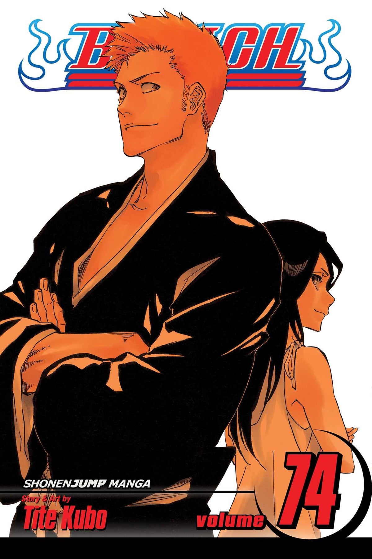 Bleach, Vol. 74 : The Death and the Strawberry Volume 74-9781421596020
