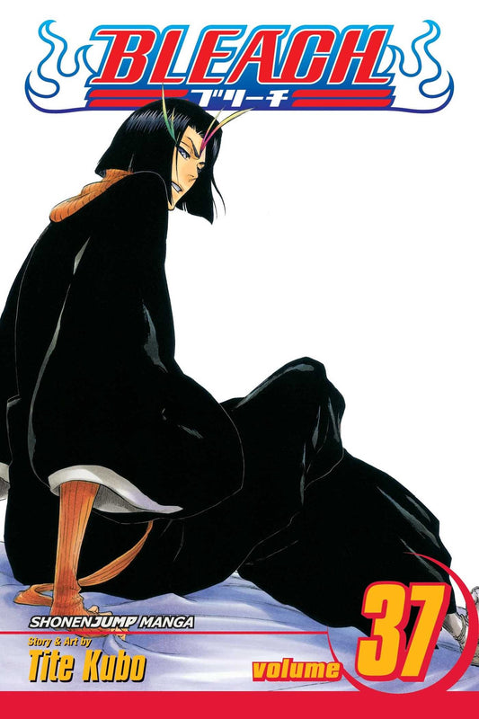 Bleach, Vol. 37 : Beauty Is So Solitary Volume 37-9781421533148