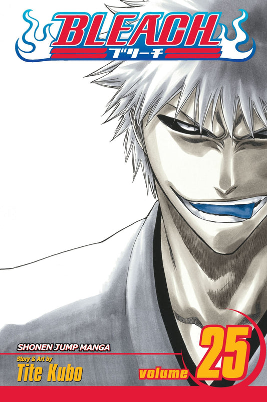 Bleach, Vol. 25 : No Shaking Throne Volume 25-9781421517964
