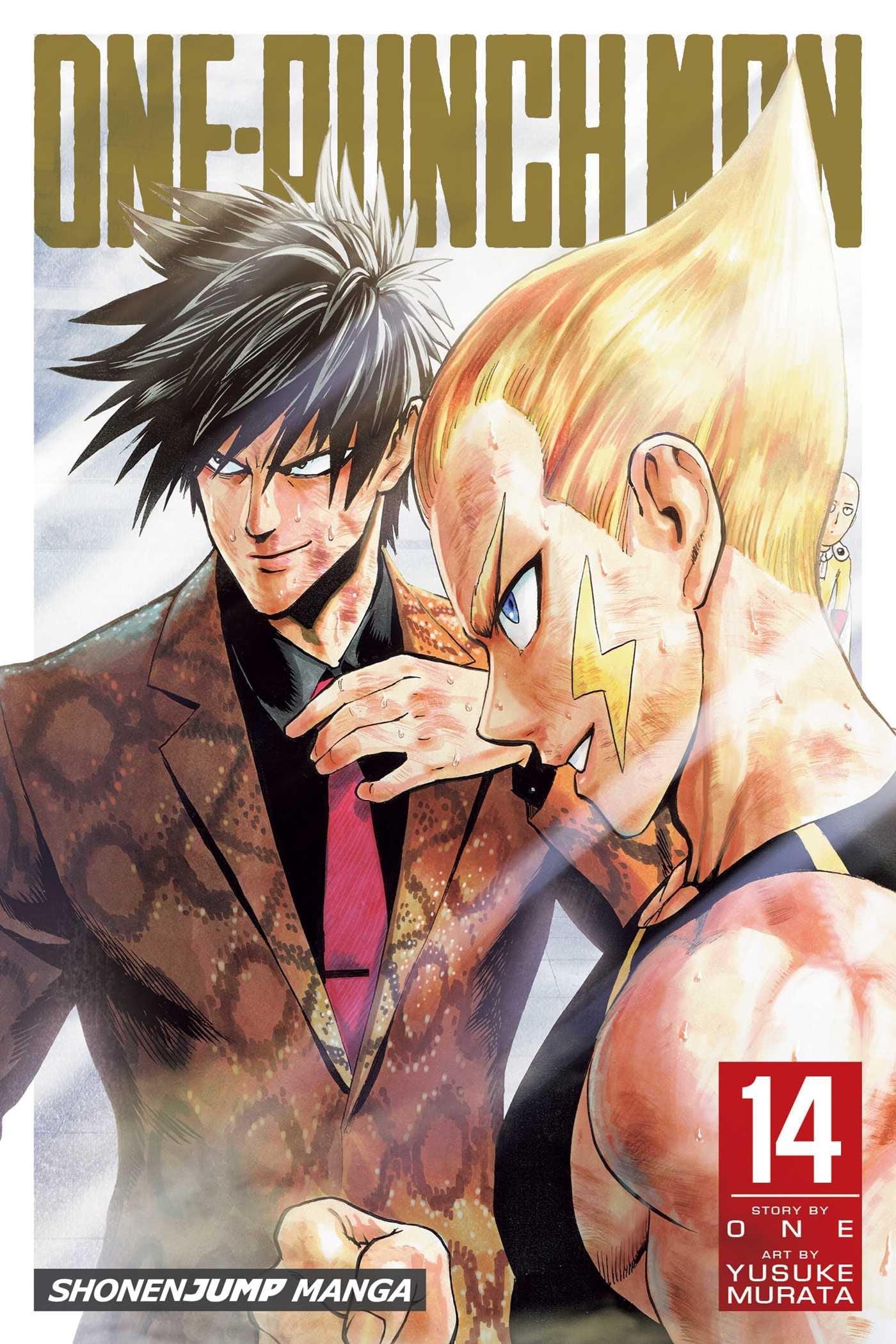 One-Punch Man, Vol. 14 : Volume 14-9781974700431