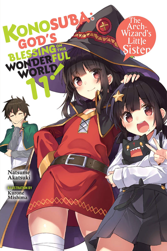 KONOSUBA: God's Blessing on This Wonderful World! Vol. 11 English Light Novel cover
