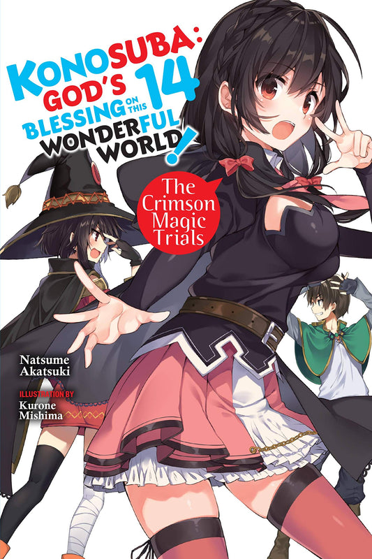 KONOSUBA: God's Blessing on This Wonderful World! Vol. 14 English Light Novel cover