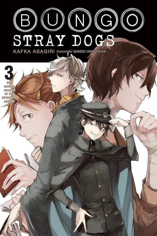 Bungo Stray Dogs Vol. 3: The Untold Origins of the Detective Agency English Light Novel Paperback (NEW)