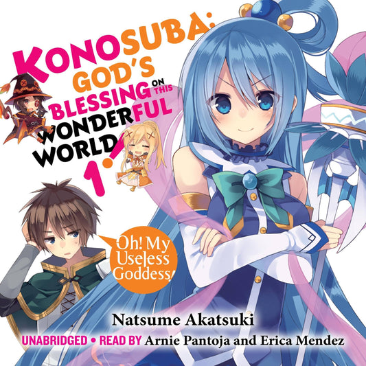 KONOSUBA: God's Blessing on This Wonderful World! Vol. 1 English Light Novel cover