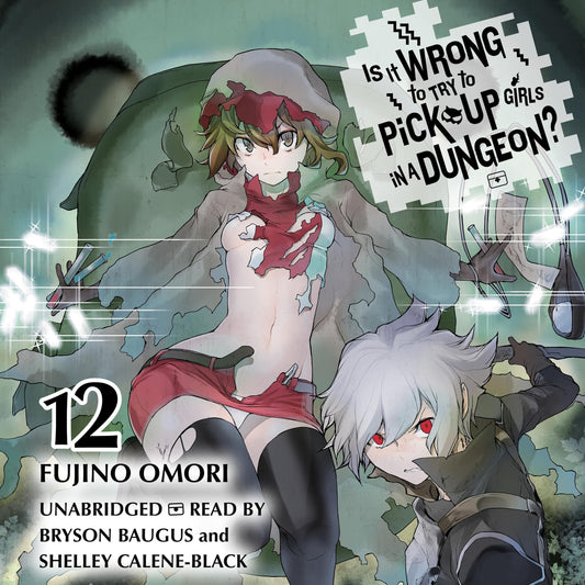 Is It Wrong to Try to Pick Up Girls in a Dungeon? Vol. 12 English Light Novel cover