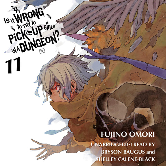 Is It Wrong to Try to Pick Up Girls in a Dungeon? Vol. 11 English Light Novel cover