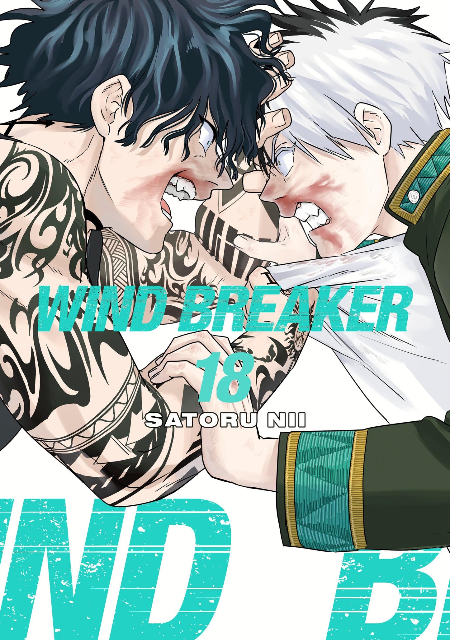 WIND BREAKER Vol. 18 English Manga cover