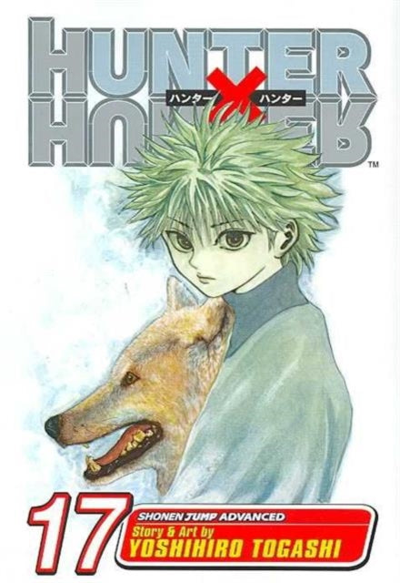 Hunter x Hunter, Vol. 17 : A Fierce Three-Way Struggle Volume 17-9781421510736
