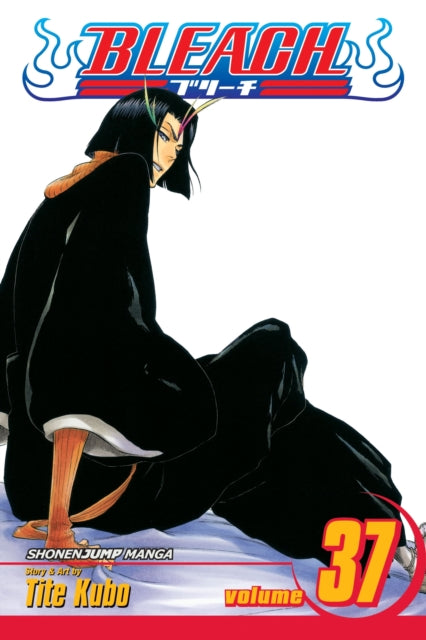 Bleach, Vol. 37 : Beauty Is So Solitary Volume 37-9781421533148