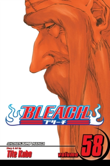 Bleach, Vol. 58 : The Fire Volume 58-9781421561356