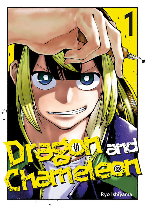Dragon and Chameleon Vol. 1 English Manga Paperback book cover