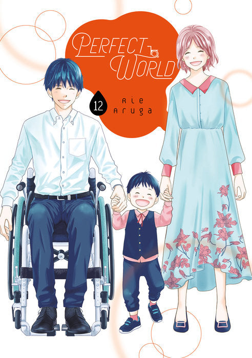 Perfect World Vol. 12 English Manga Paperback book cover