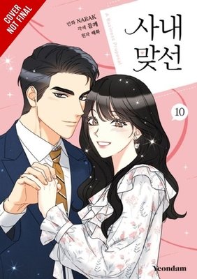 A Business Proposal Vol. 10 English Manhwa Paperback book cover