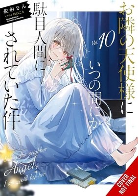 The Angel Next Door Spoils Me Rotten Vol. 10 English Light Novel Paperback book cover