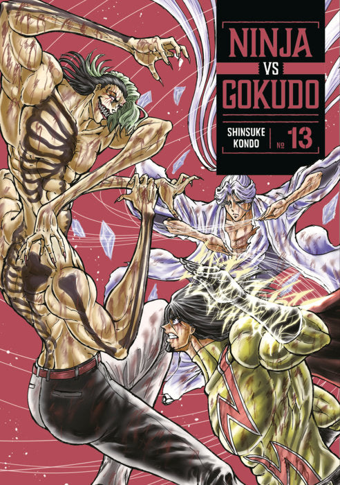 Ninja Vs. Gokudo Vol. 13 English Manga Paperback book cover