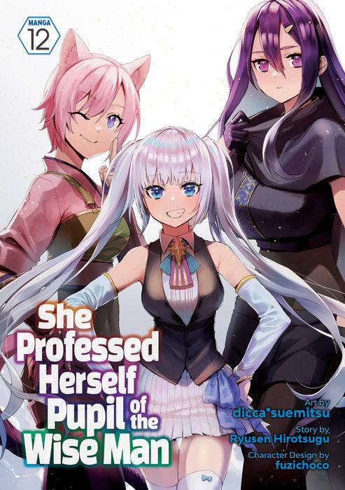 She Professed Herself Pupil of the Wise Man Vol. 12 English Light Novel Paperback book cover