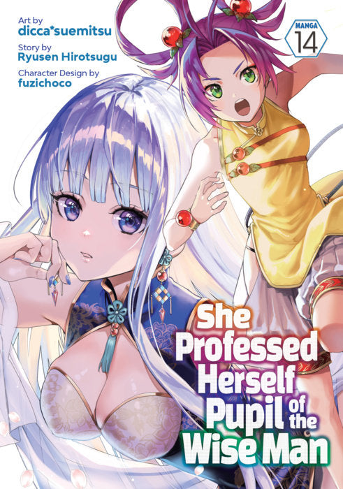 She Professed Herself Pupil of the Wise Man Vol. 14 English Light Novel Paperback book cover