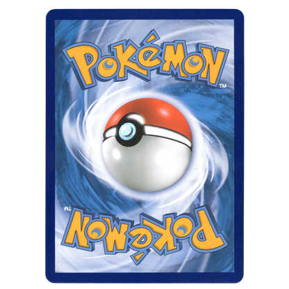 Pokémon Gift Box Gengar Mightyena CSUC 009 Chinese NM