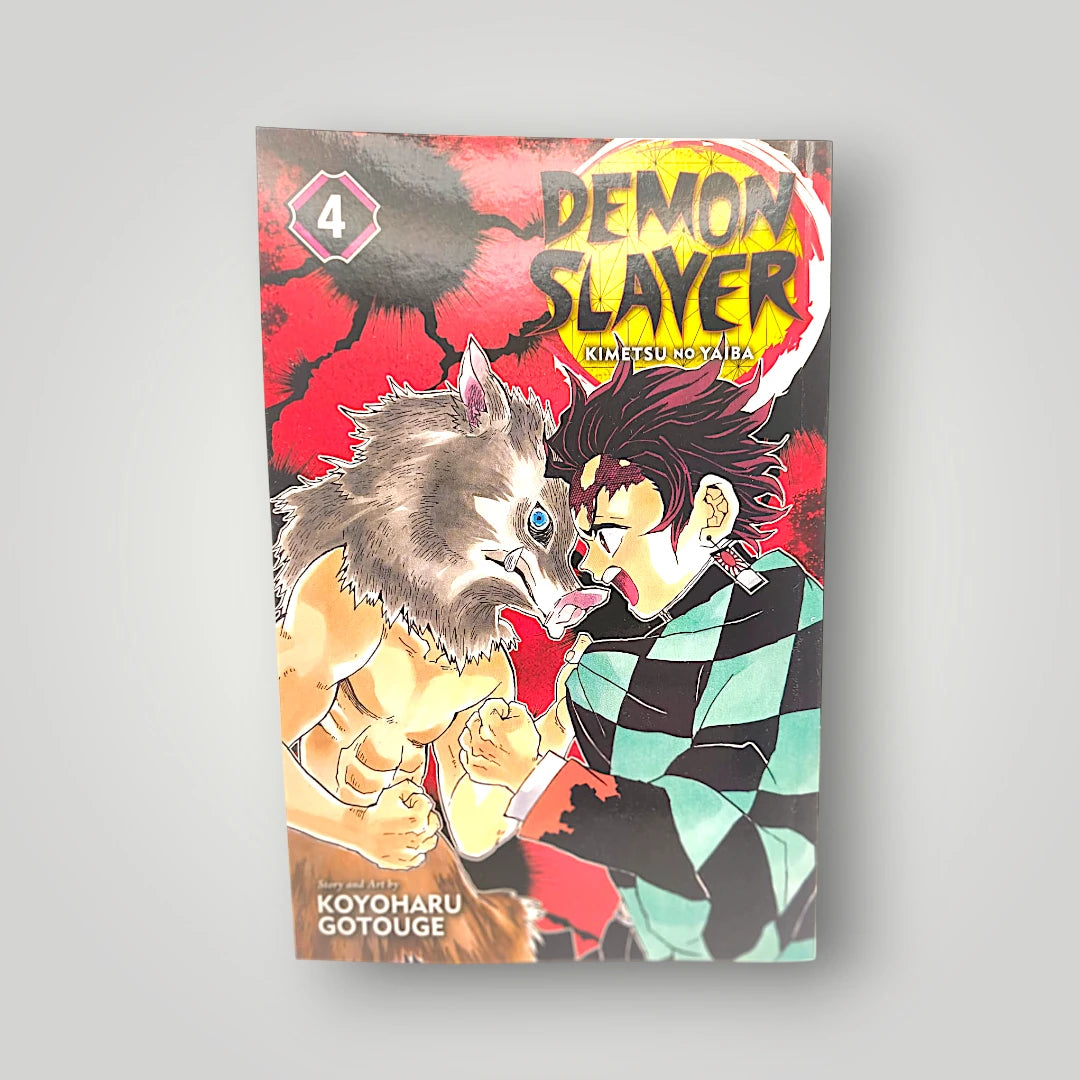 Demon Slayer Manga English Paperback New