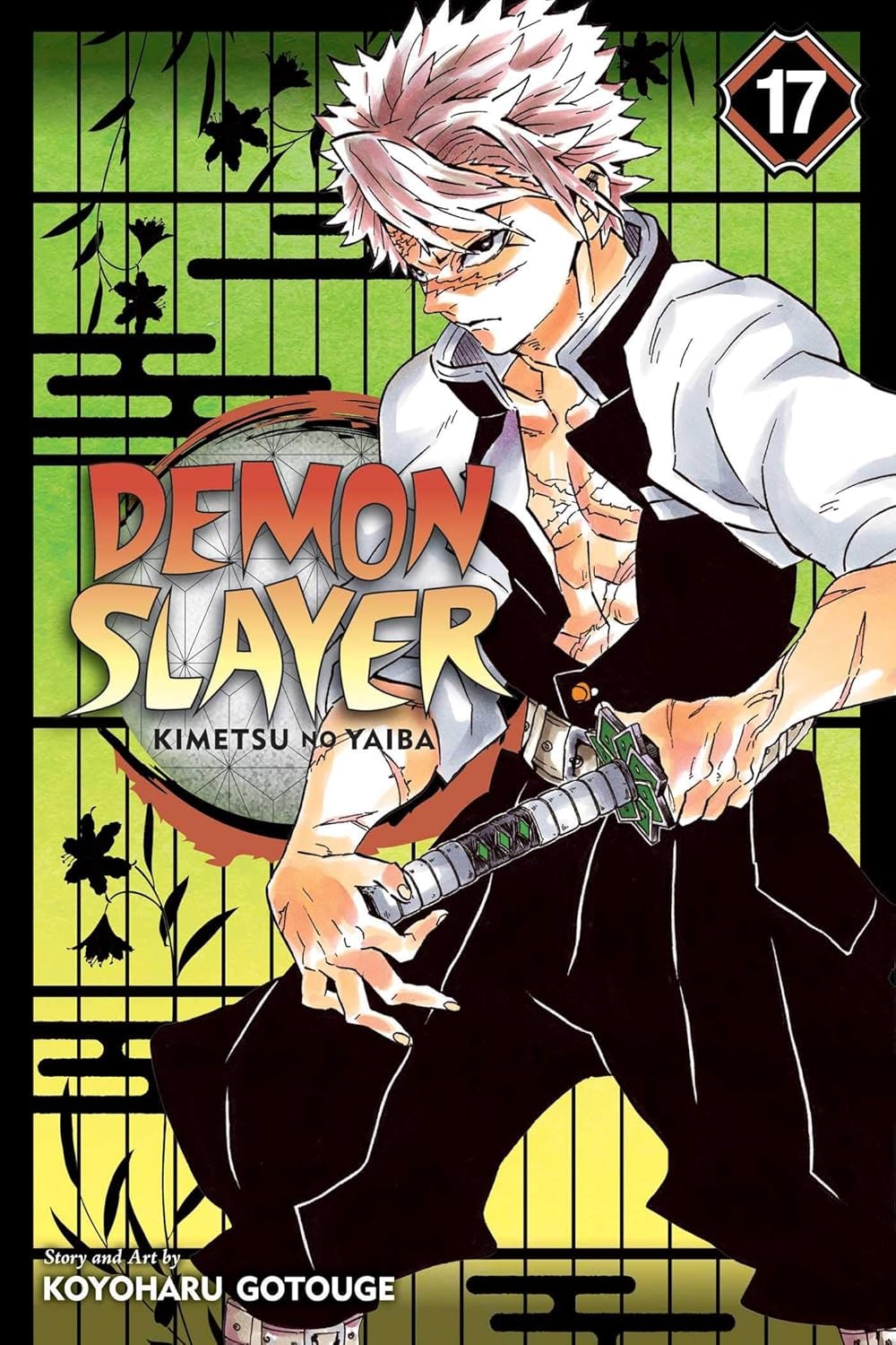 Demon Slayer: Kimetsu no Yaiba, Vol. 17 : Successors Volume 17-9781974710614