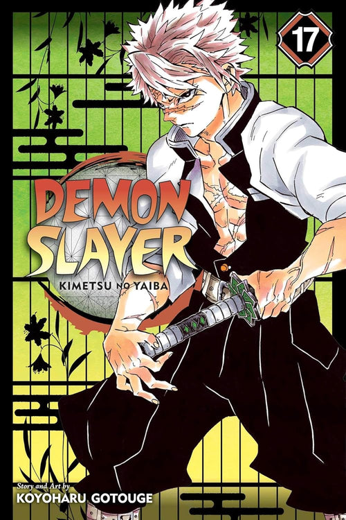 Demon Slayer: Kimetsu no Yaiba, Vol. 17 : Successors Volume 17-9781974710614