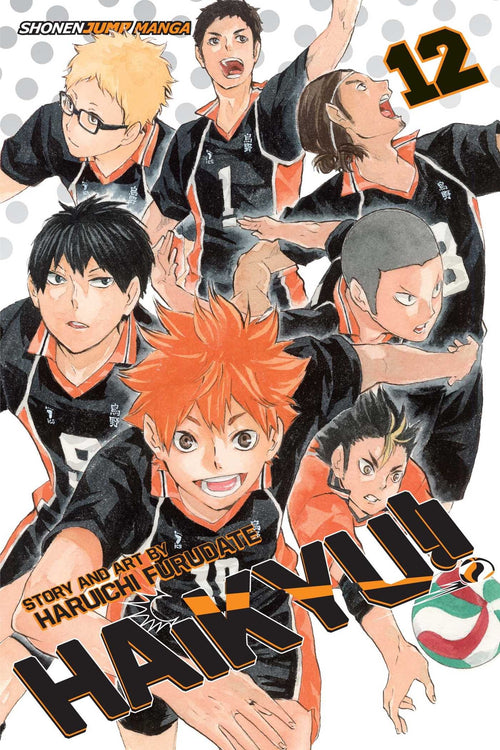 Haikyu!!, Vol. 12 : The Tournament Begins! Volume 12-9781421591025