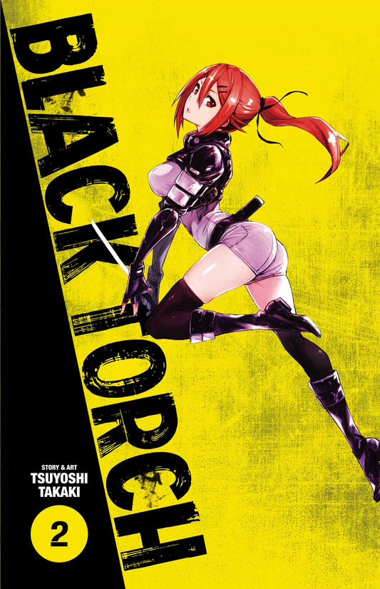Black Torch Volume 2 - 9781974701520