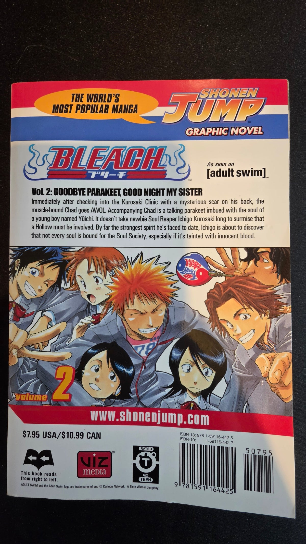 Bleach Volume 2 preowned actual copy back