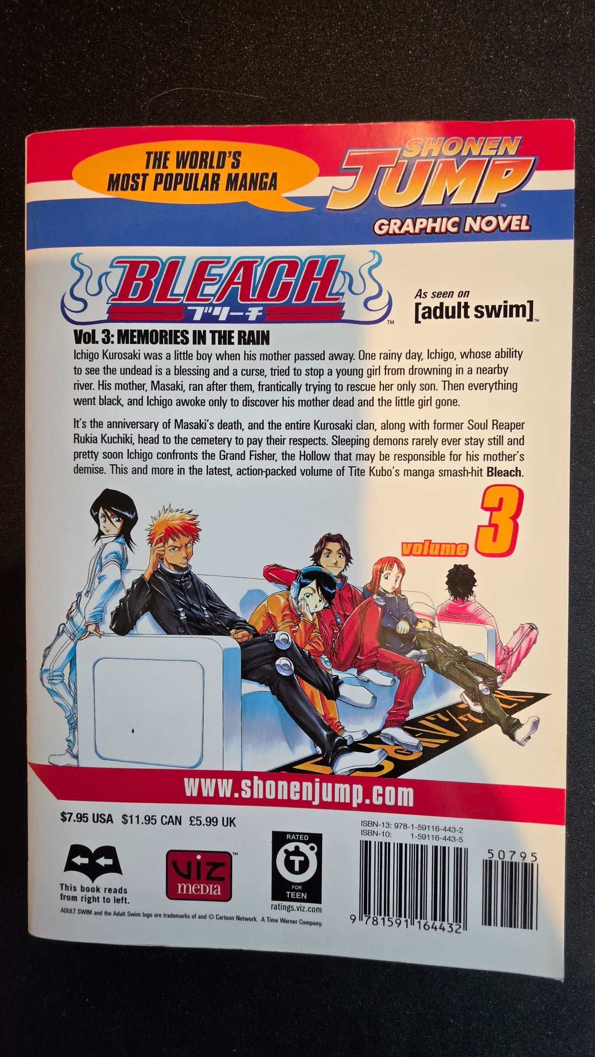 Bleach Volume 3 preowned actual copy back