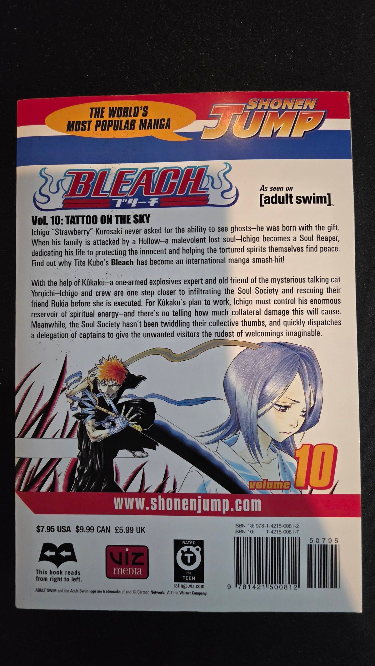 Bleach Volume 10 preowned actual copy back