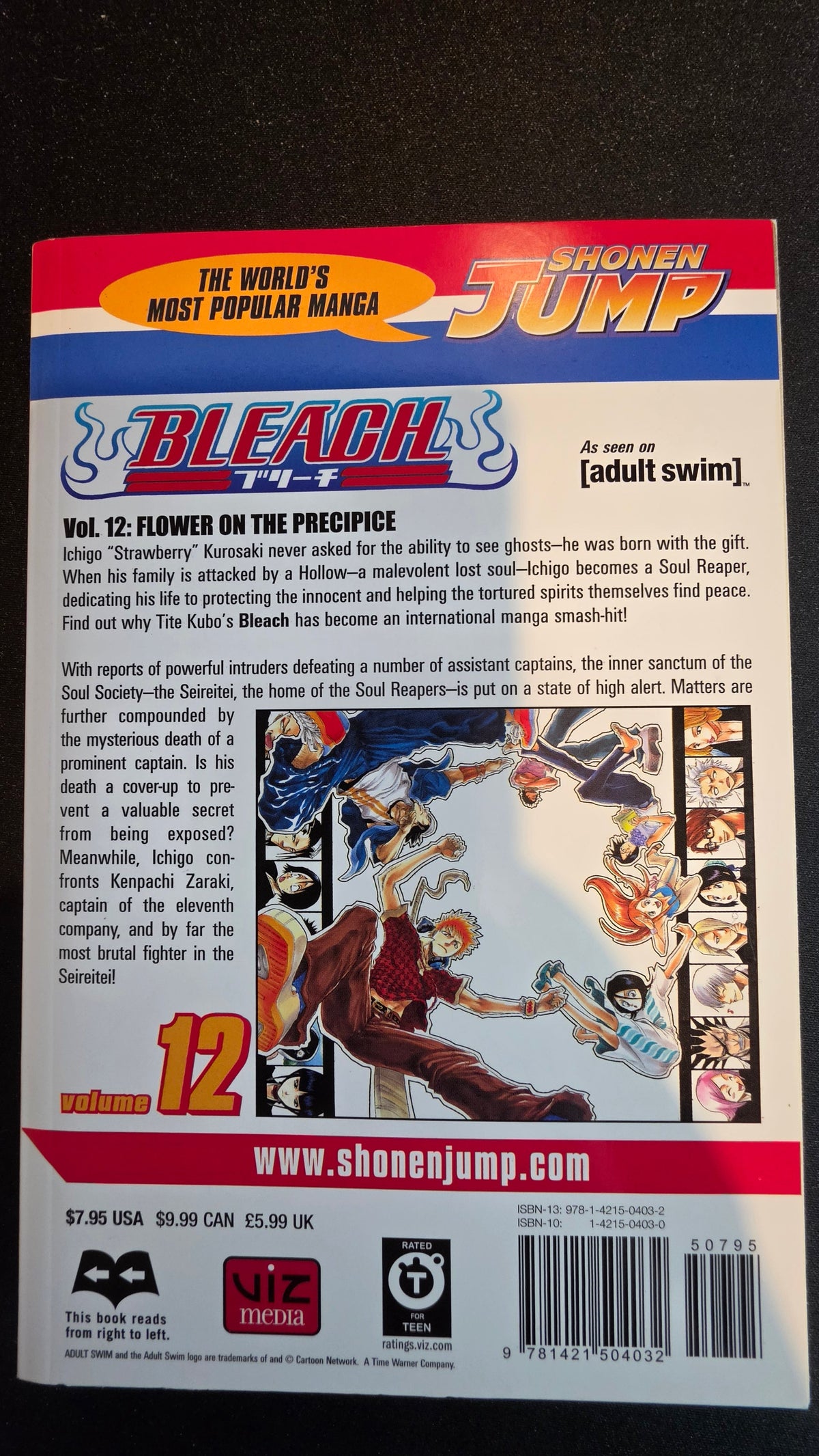 Bleach Volume 12 preowned actual copy back