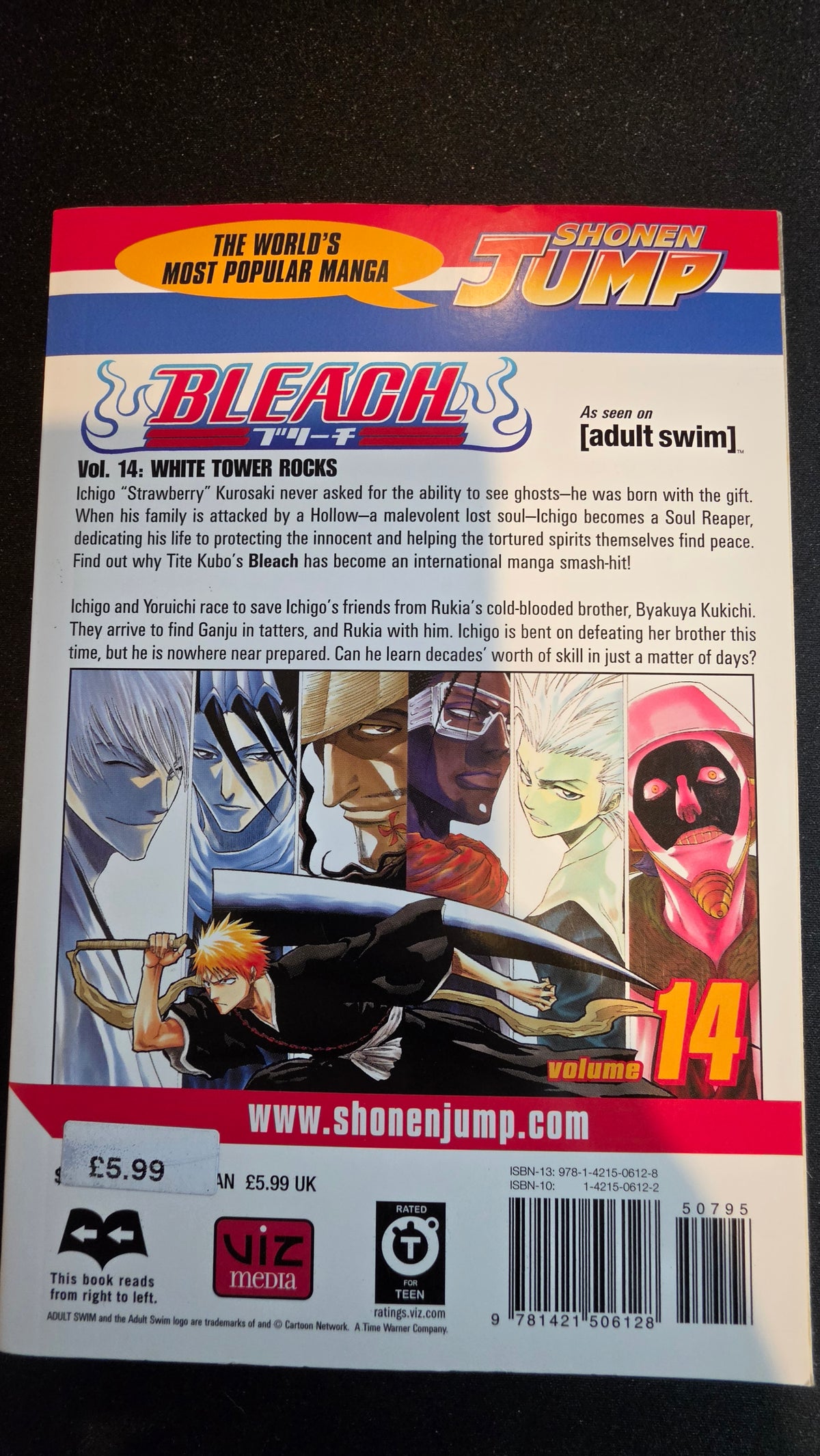 Bleach Volume 14 preowned actual copy back