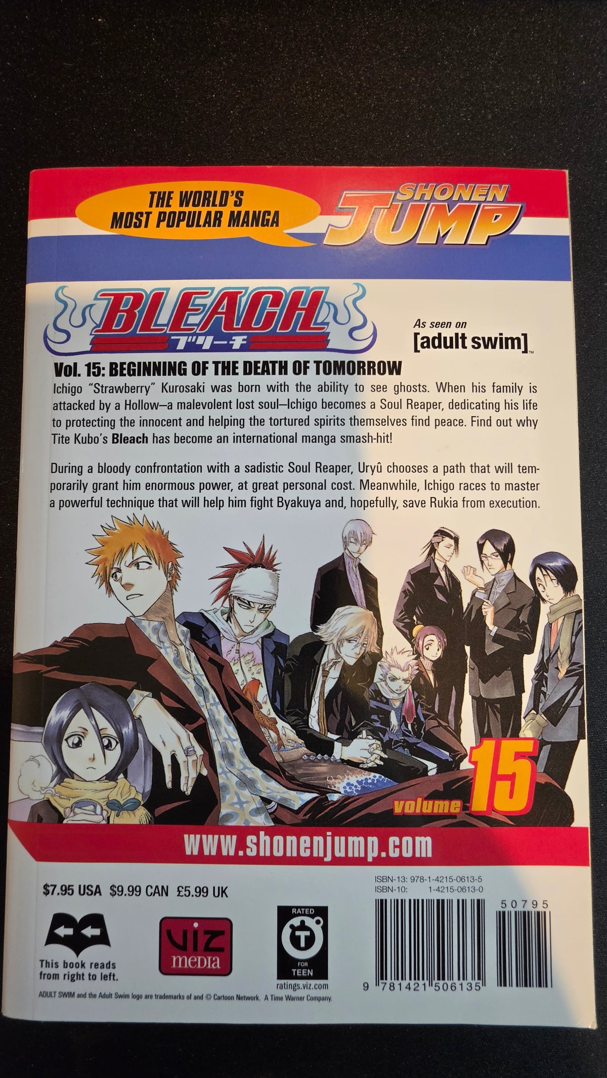 Bleach Volume 15 preowned actual copy back