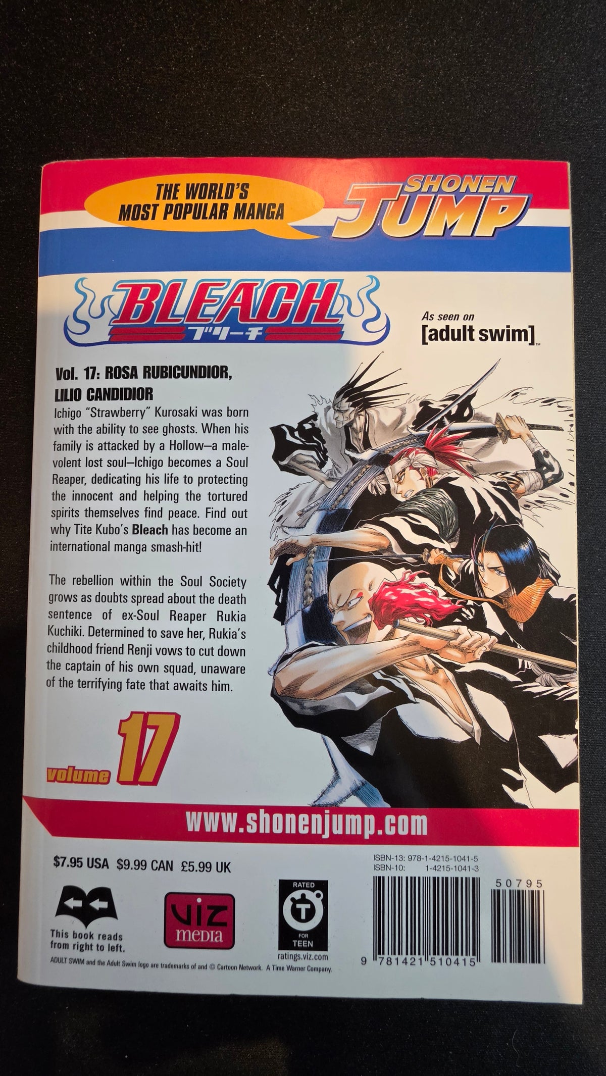 Bleach Volume 17 preowned actual copy back
