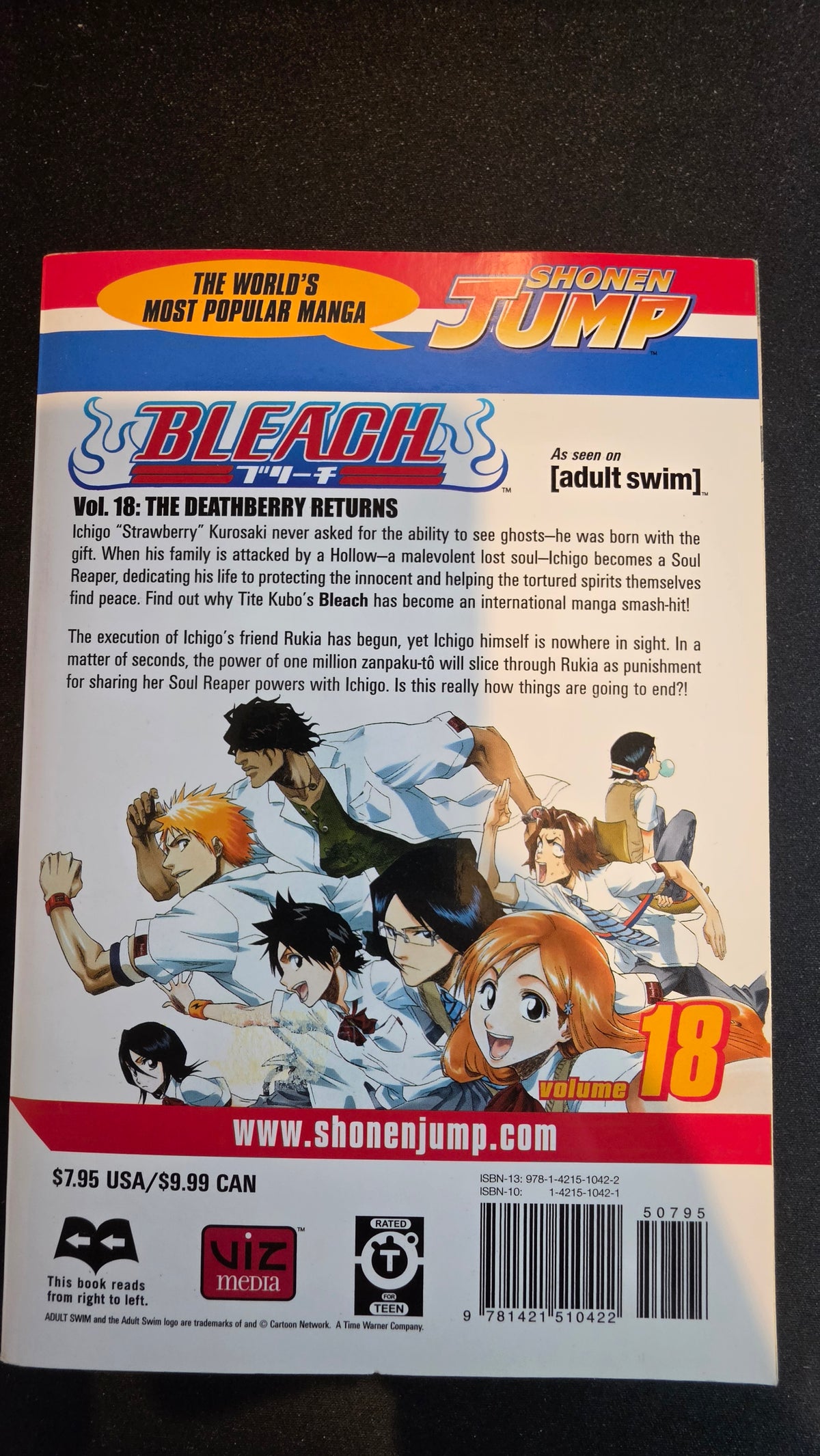 Bleach Volume 18 preowned actual copy back