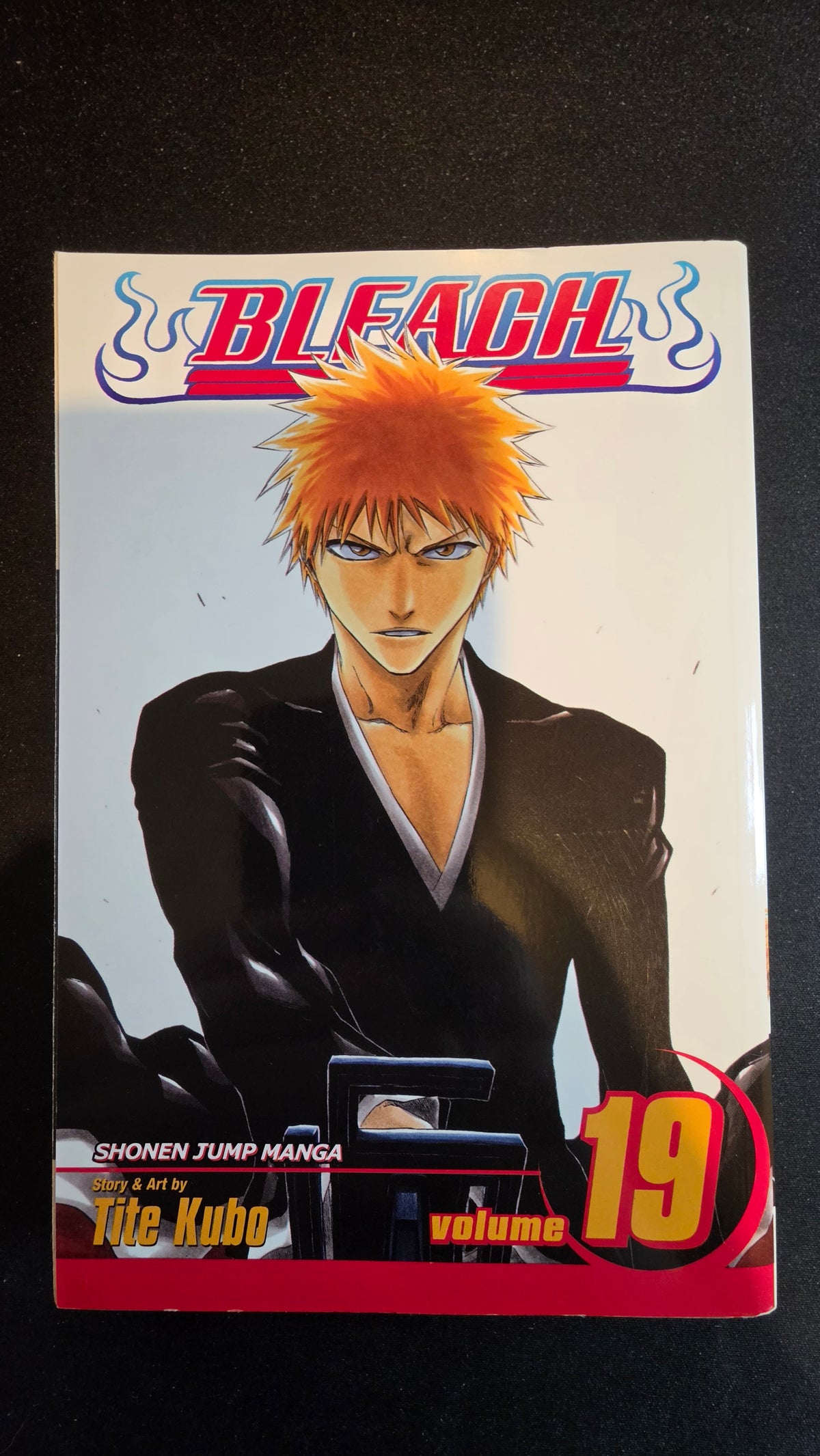 Bleach Volume 19 preowned actual copy front