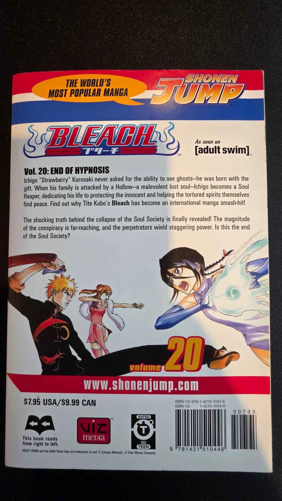 Bleach Volume 20 preowned actual copy back