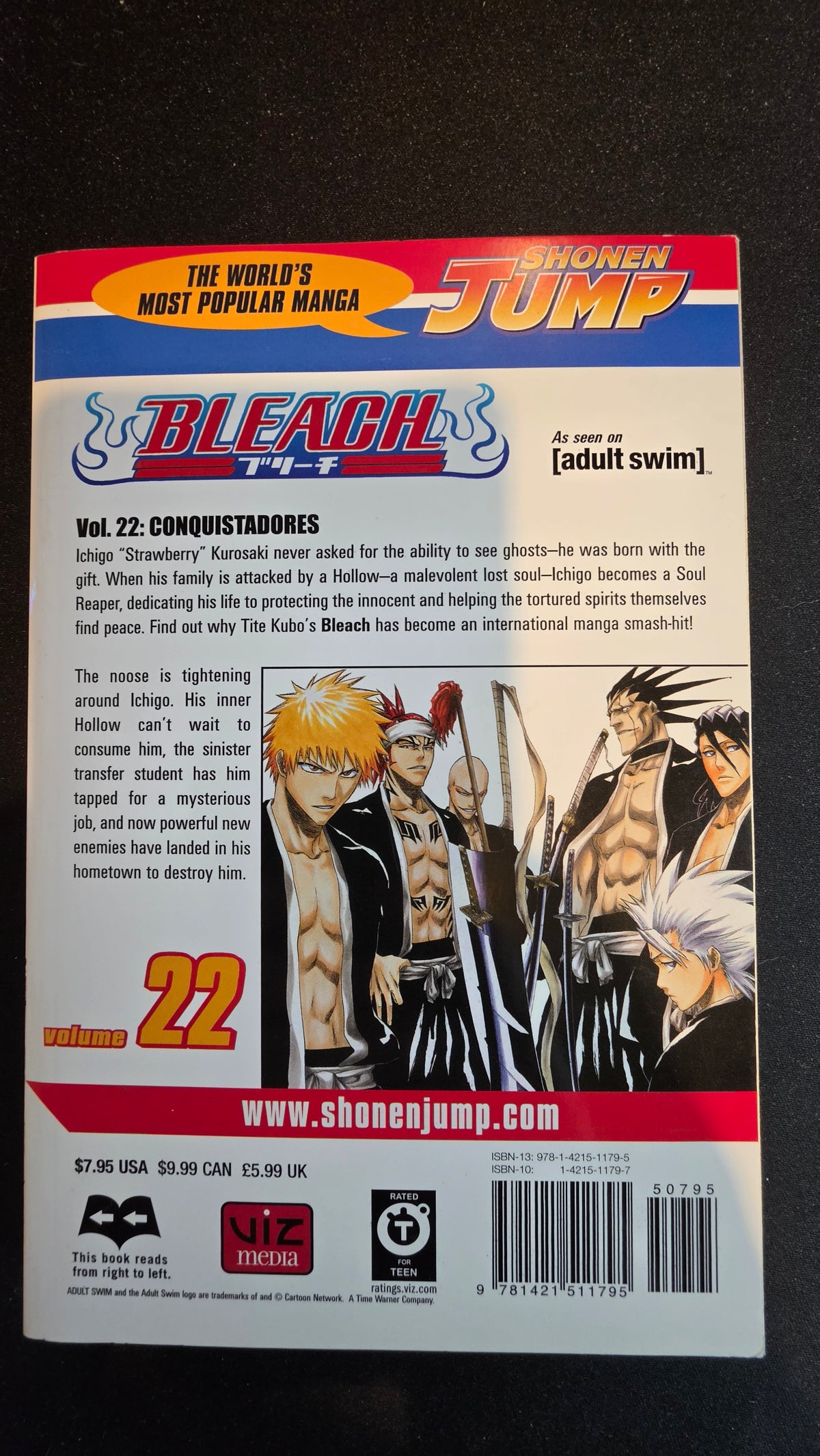 Bleach Volume 22 preowned actual copy back