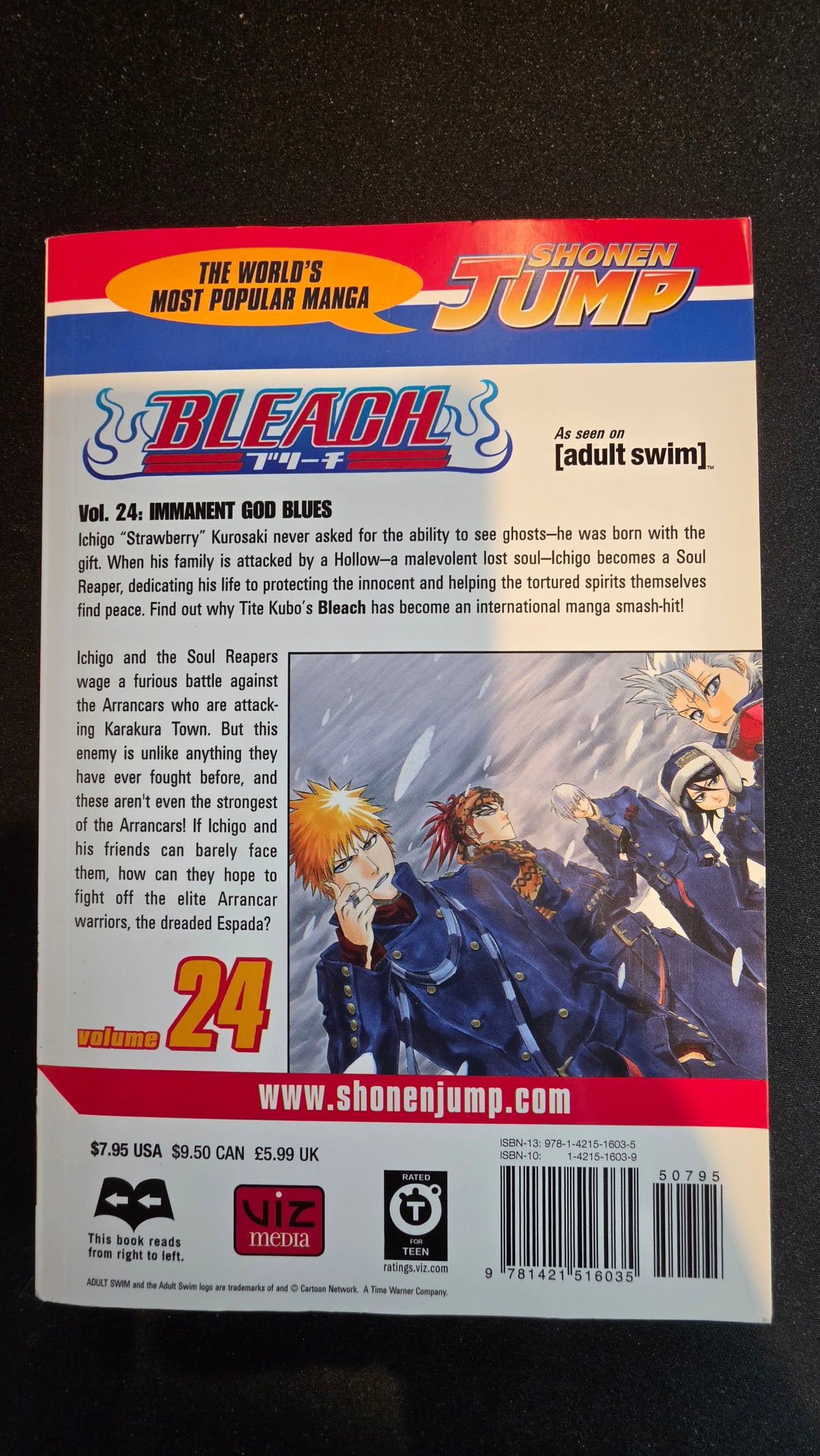 Bleach Volume 24 preowned actual copy back