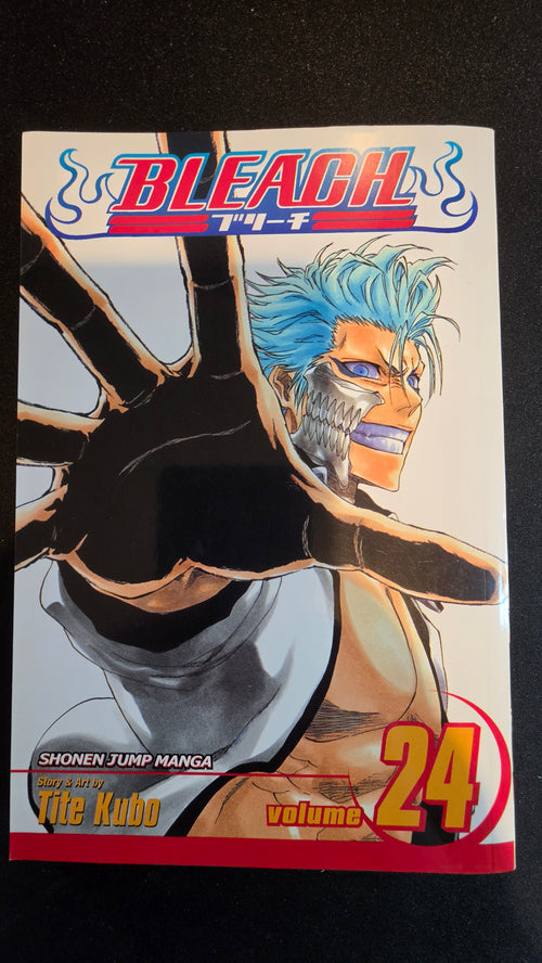 Bleach Volume 24 preowned actual copy front